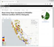 real-time wildlife-vehicle collision reporting system