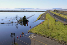 Shoreline next to SR 37