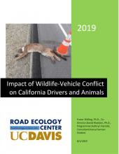 REC Hotspots Report 2019