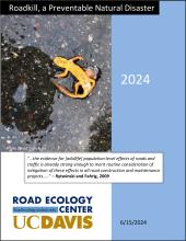 Roadkill, a Preventable Natural Disaster