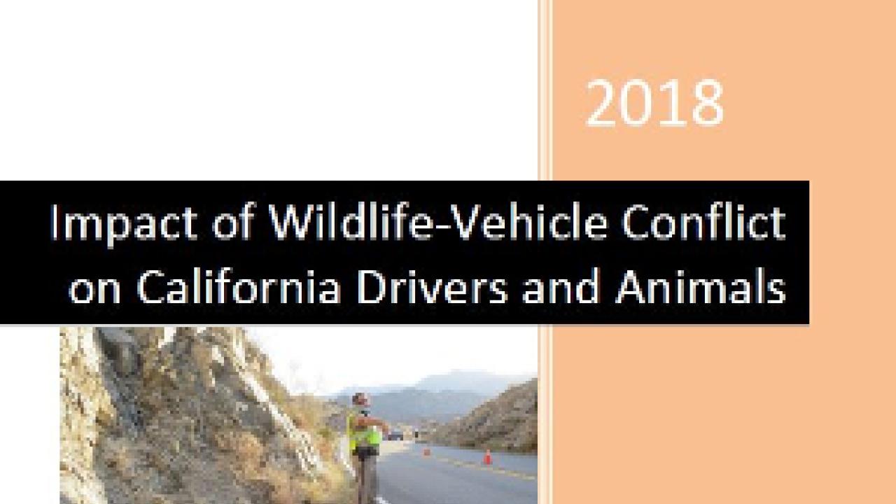 WVC Report