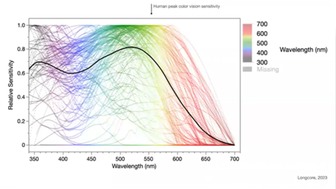 Animal sensitivity to light across spectrum