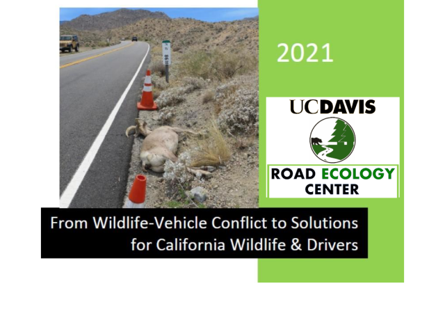 California Wildlife Vehicle Collision Hotspots 2021
