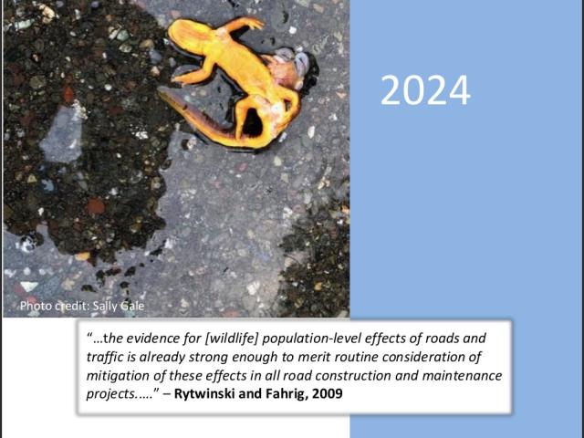 Hotspots Report 2024: Roadkill, a Preventable Natural Disaster
