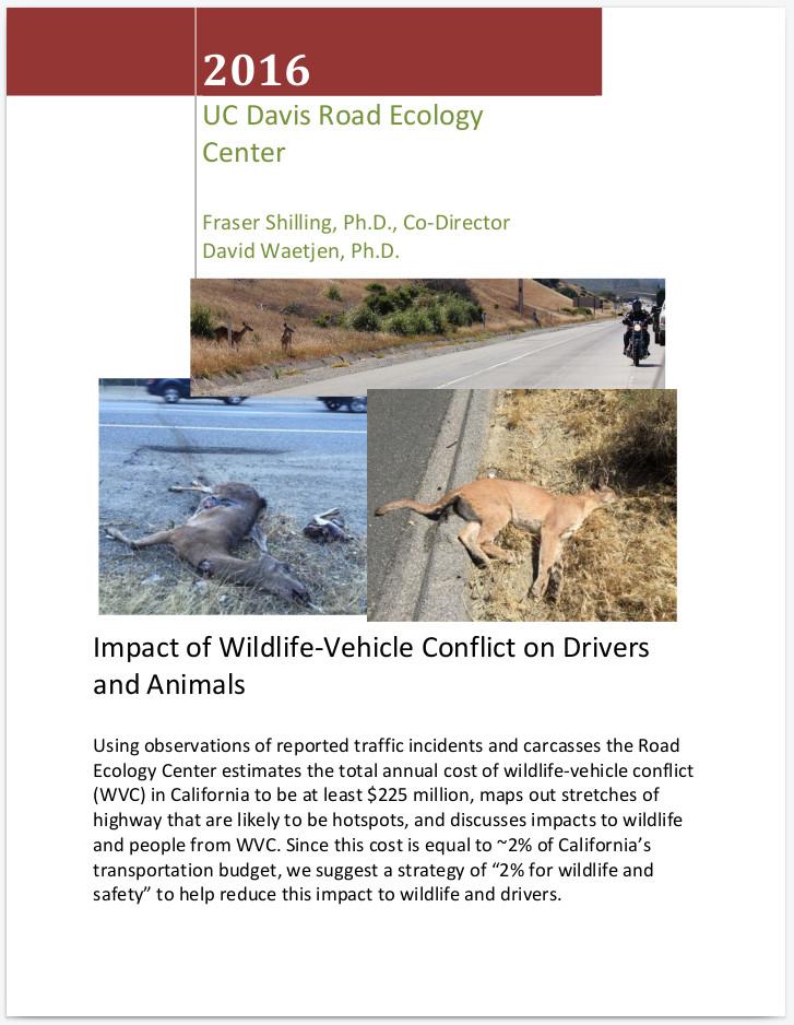 Special Report 2016: Impact of Wildlife-Vehicle Conflict on Drivers and  Animals | Road Ecology Center