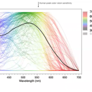 Animal sensitivity to light across spectrum