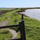 Tolay Lagoon levee Feb, 2017